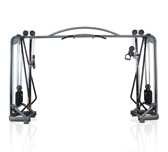 大飛鳥，龍門架健身