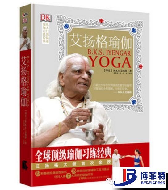 艾揚格瑜伽：精準習練指南